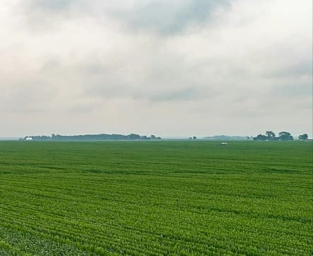 Agriculture