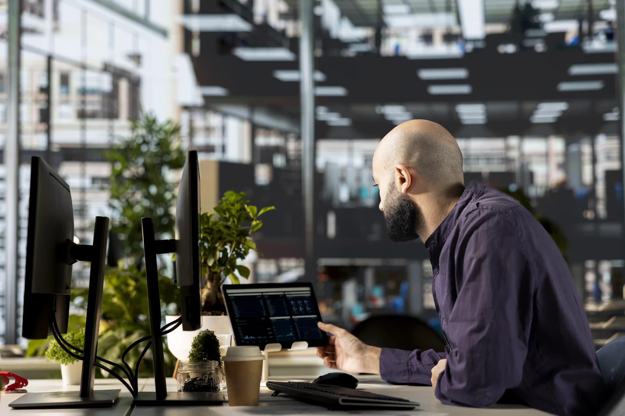 ISVs industry