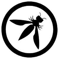 OWASP ASVS