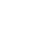 Vector(4)