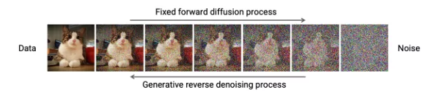 forward/reverse diffusion process